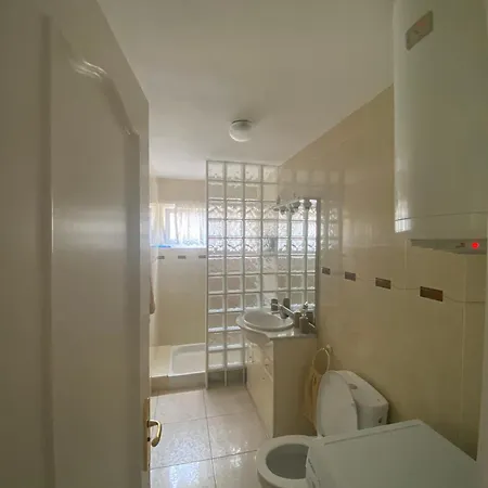 Flamingo * بالم مار