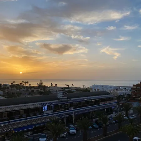 Flamingo شقة بالم مار