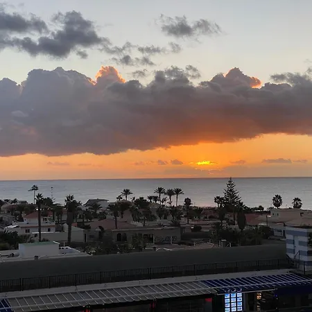 Апартаменты Flamingo *