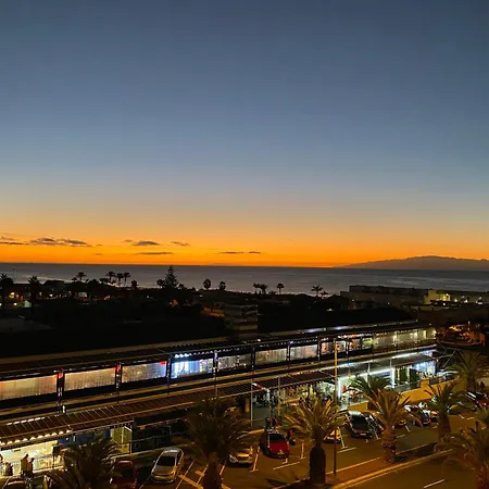 Flamingo شقة بالم مار