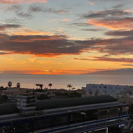 Flamingo Palm-mar