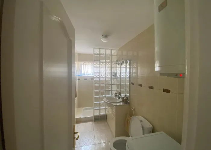 Flamingo * Эль-Пальмар