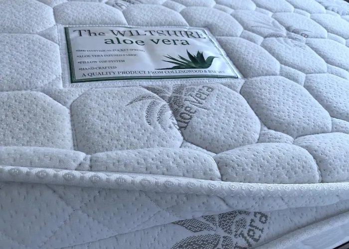 Appartement Flamingo *