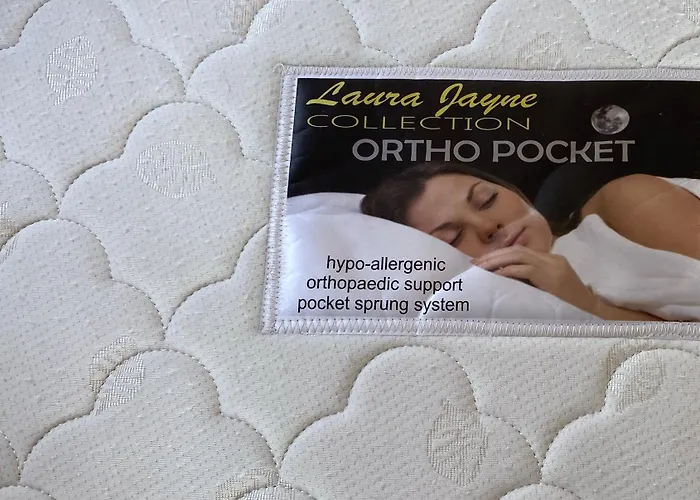 Flamingo * Эль-Пальмар